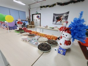 “多國風(fēng)采、別具風(fēng)格”的的圣誕節(jié)活動